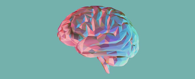 Forgetting Is a Feature, Not a Bug: How the Brain ‘Grasps’ New Concepts