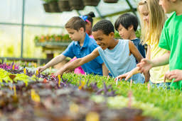 A major feature of green schools that contributes to this increase in student performance is the abundance of daylight and openness.