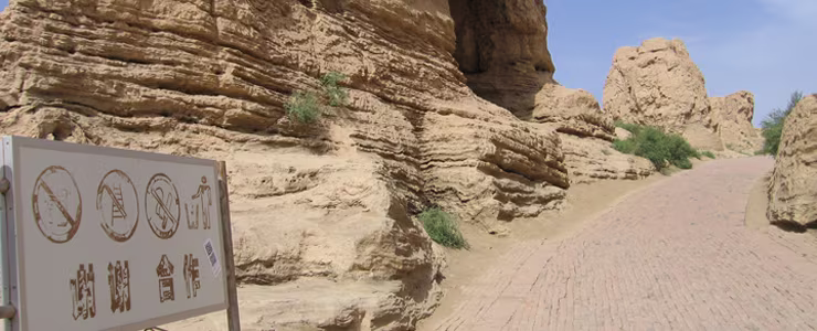 MOOCs on the Silk Road to China