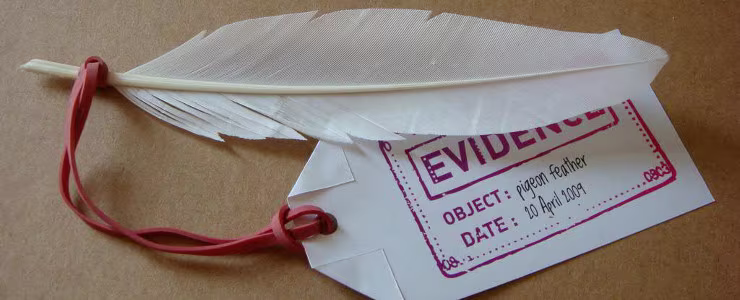 'Expanding Evidence' Report Tempers Research With Design