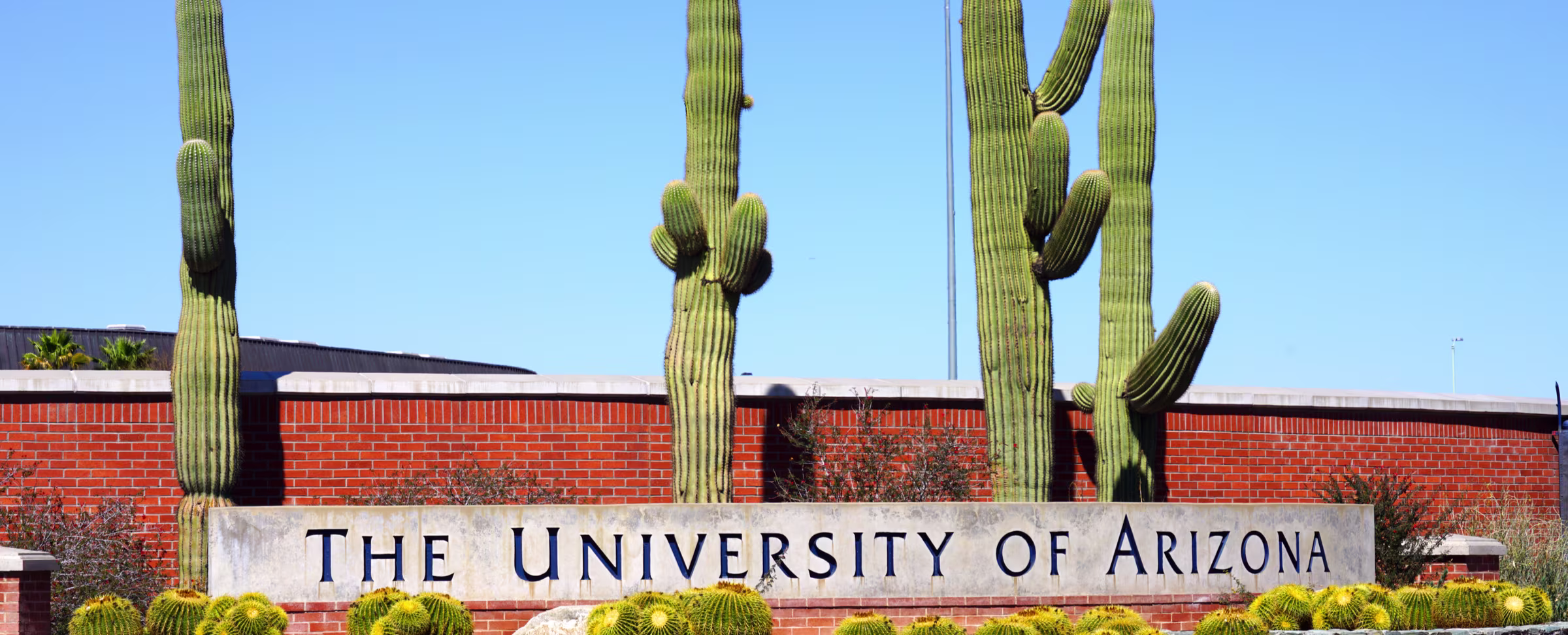 U. of Arizona Bought a For-Profit U. for $1? Actually, the For-Profit Paid Millions to Be Acquired.