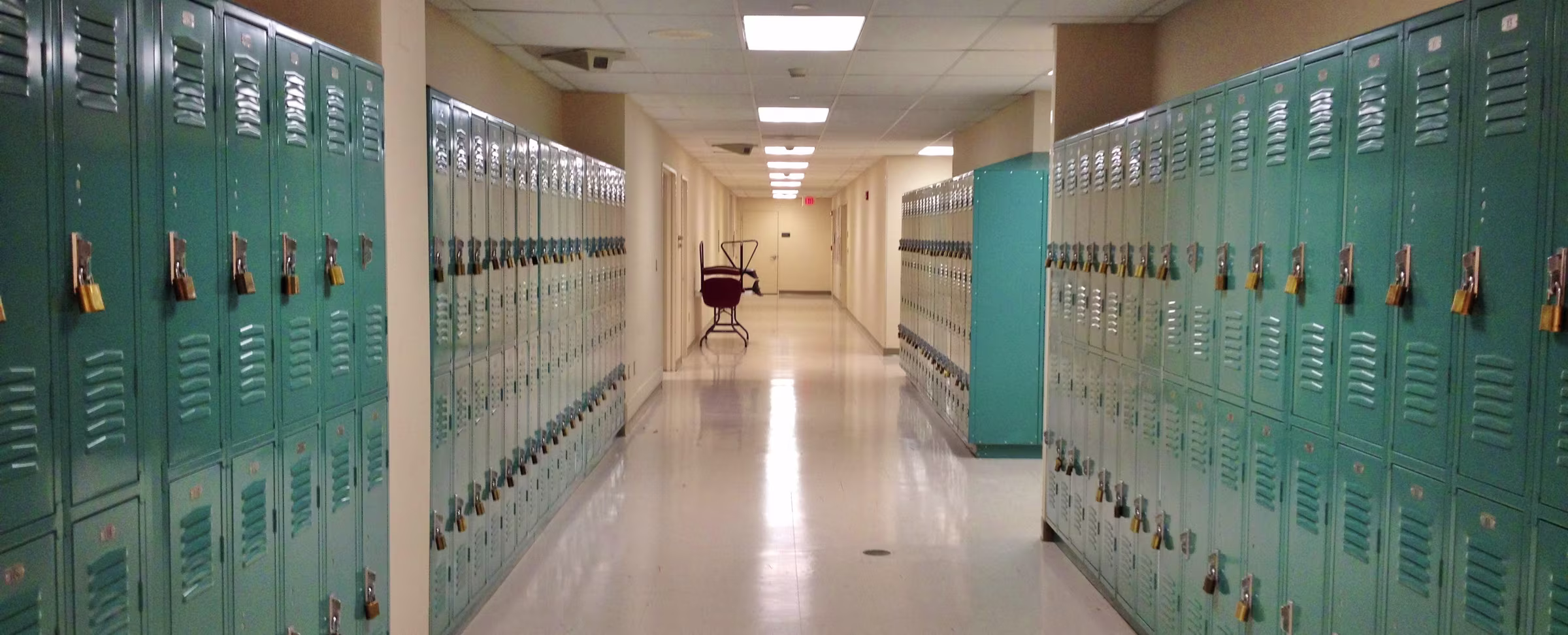 The Downsides of Closing Schools and Colleges in a Crisis