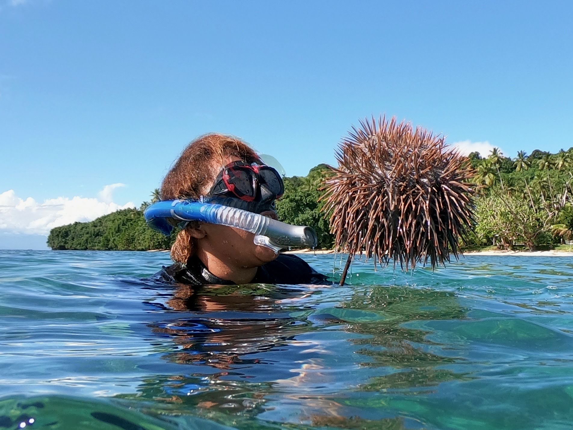 Verto Education participant Jason Diemer snorkels during an environmental science course held in Fiji. (PHOTO CREDIT: VERTO EDUCATION)