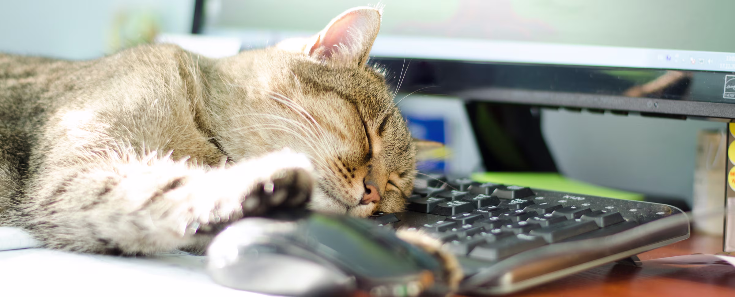 Here’s the Syllabus for Your Summer Crash Course in Online Education