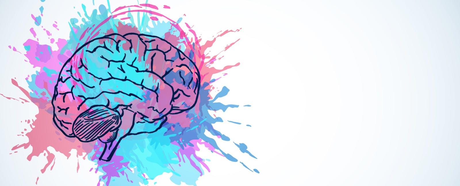4brain-1576871028.jpg