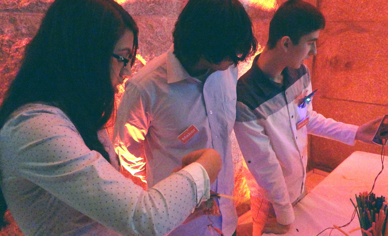 Mouse students showcasing green energy ideas