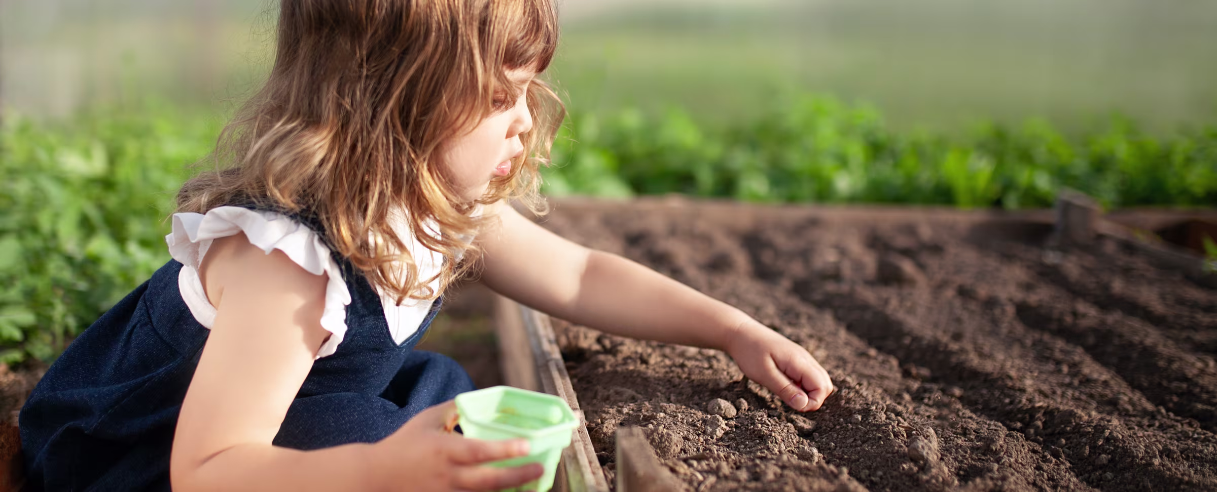 University Scholars Plant Seeds In a New Field of Study: Early Childhood Policy