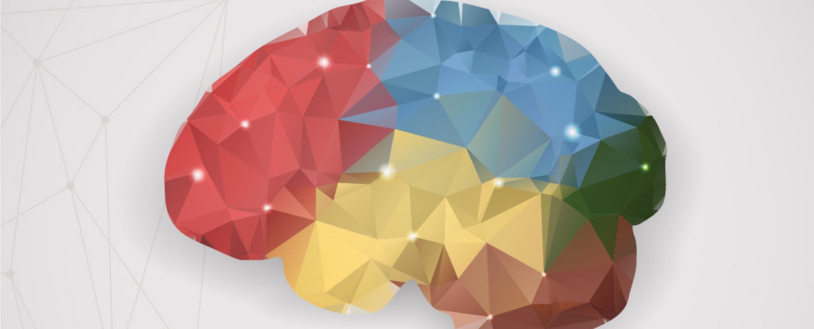 3neuroscience-1576871060.jpg