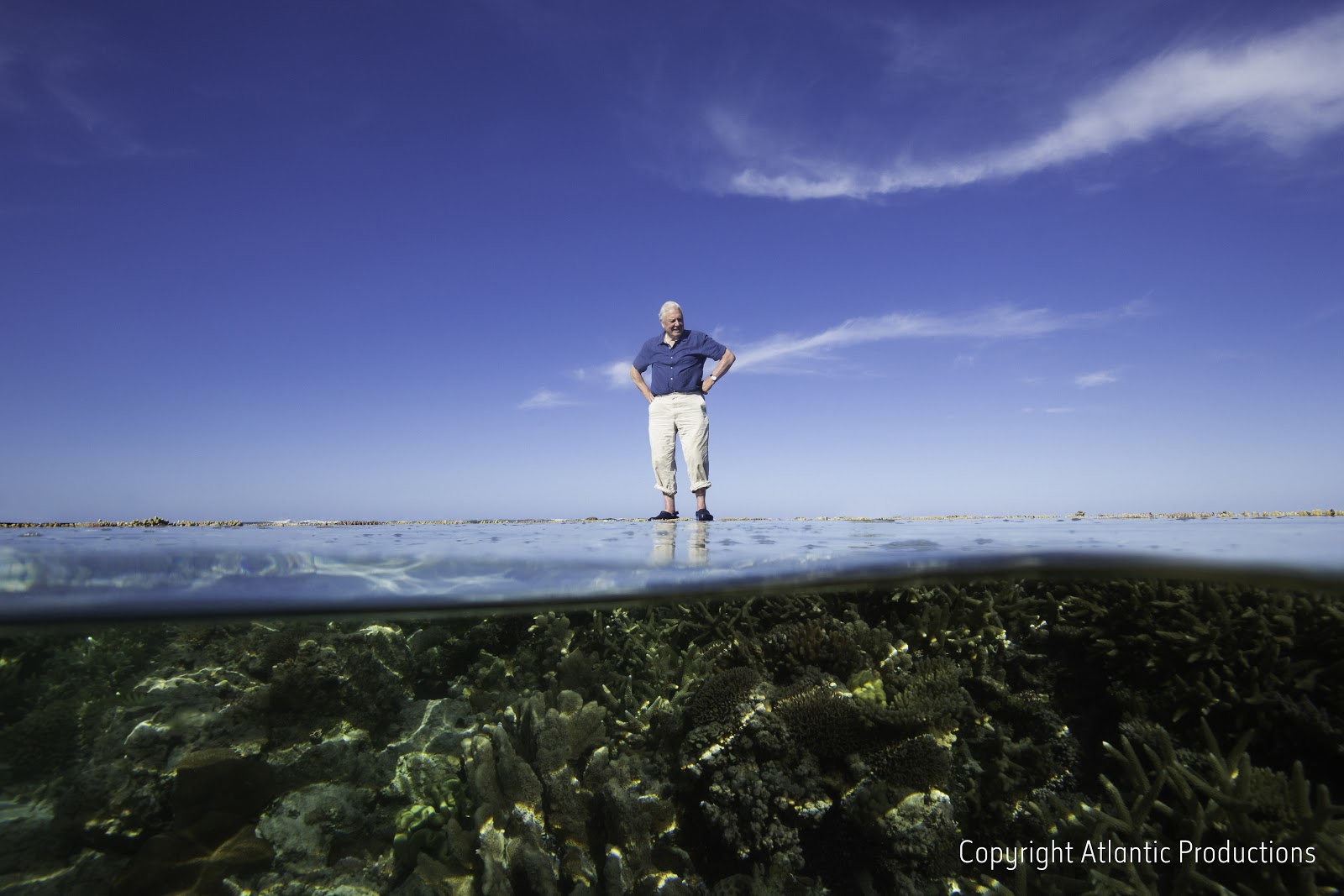 Sir David Attenborough narrates the Great Barrier Reef Expedition experience.