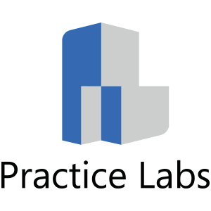 Organization: Practice Labs