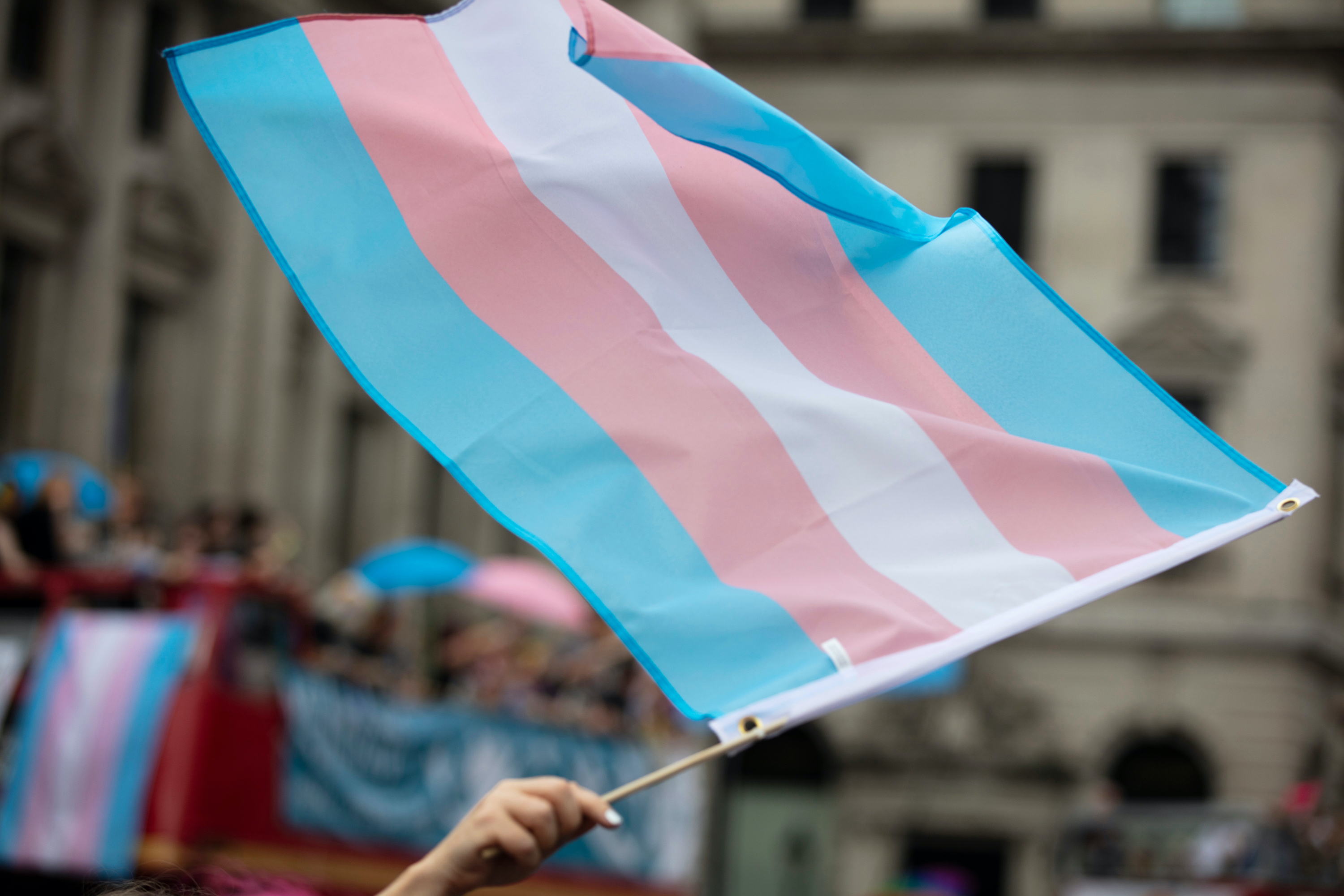 Trans Ed Educators: We Must Be Champions for Our Trans Students | EdSurge
