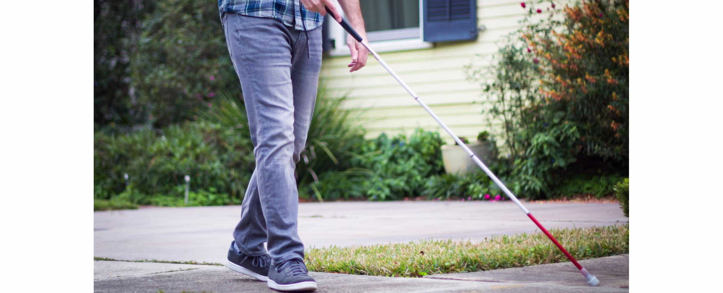 Can A New Online Learning Platform Improve Employment For Those With Visual Impairment?