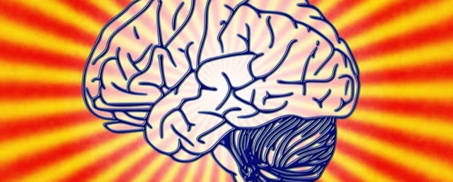 How Can Brain-Based Learning Change the Classroom?