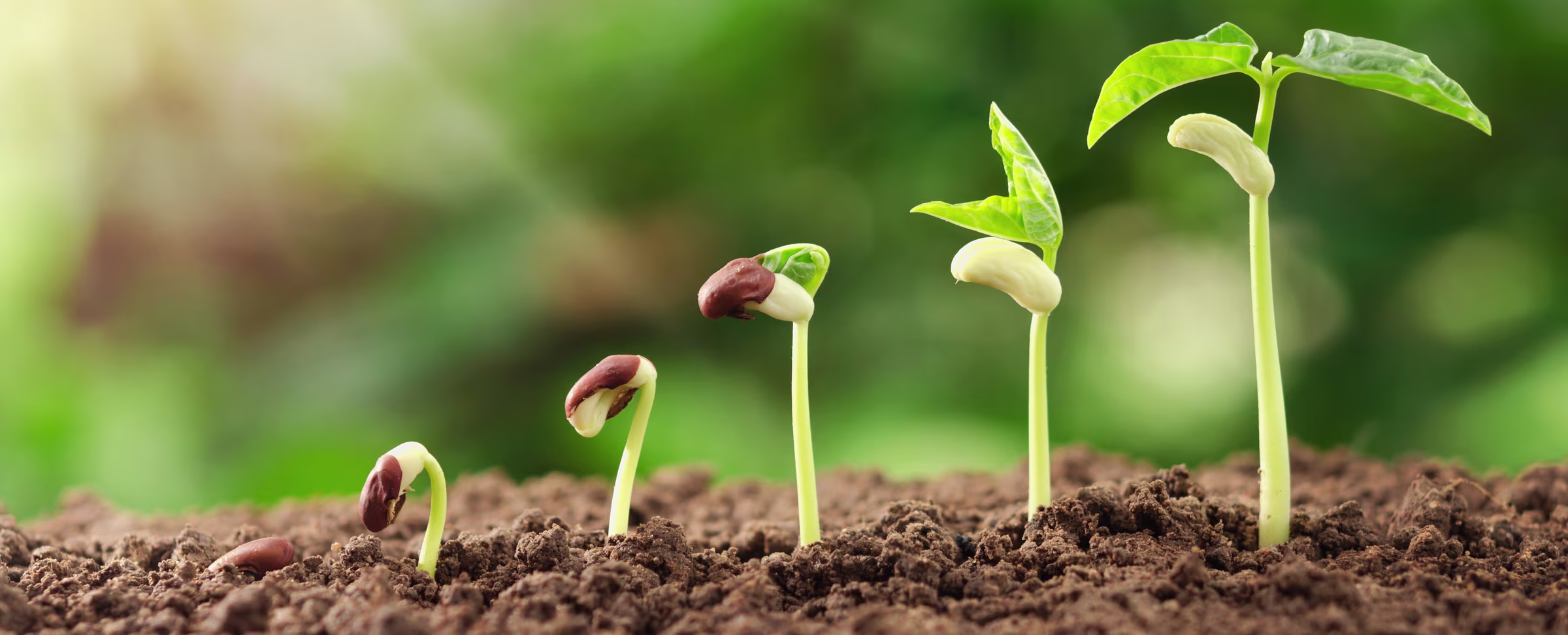 Career Karma Raises $1.5 Million Seed Round for Bootcamp Marketplace Focused on Peers