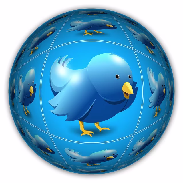 Twitter Exec Reports that Educators Dominate the Twitter-sphere