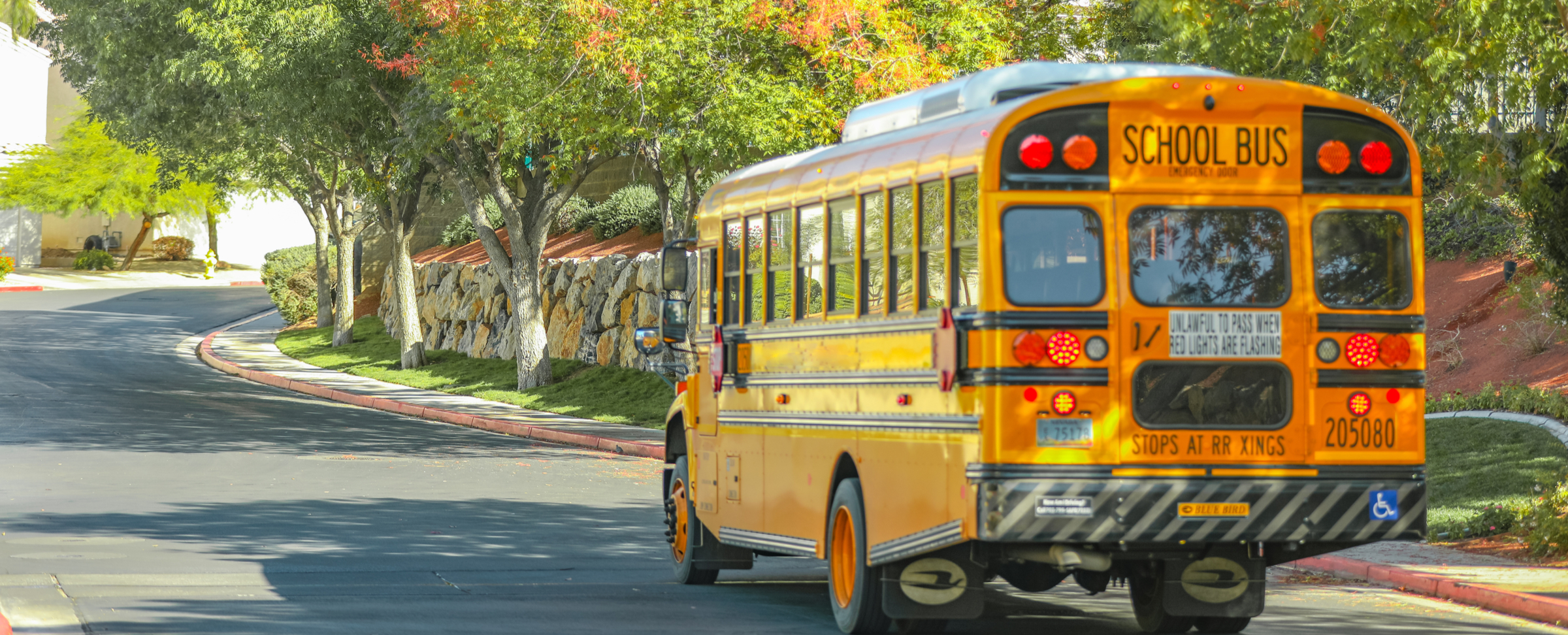 school_bus_into_the_distance-1585919066.jpg