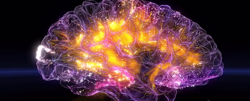 Can a Neuroscience Video Game Treat ADHD?