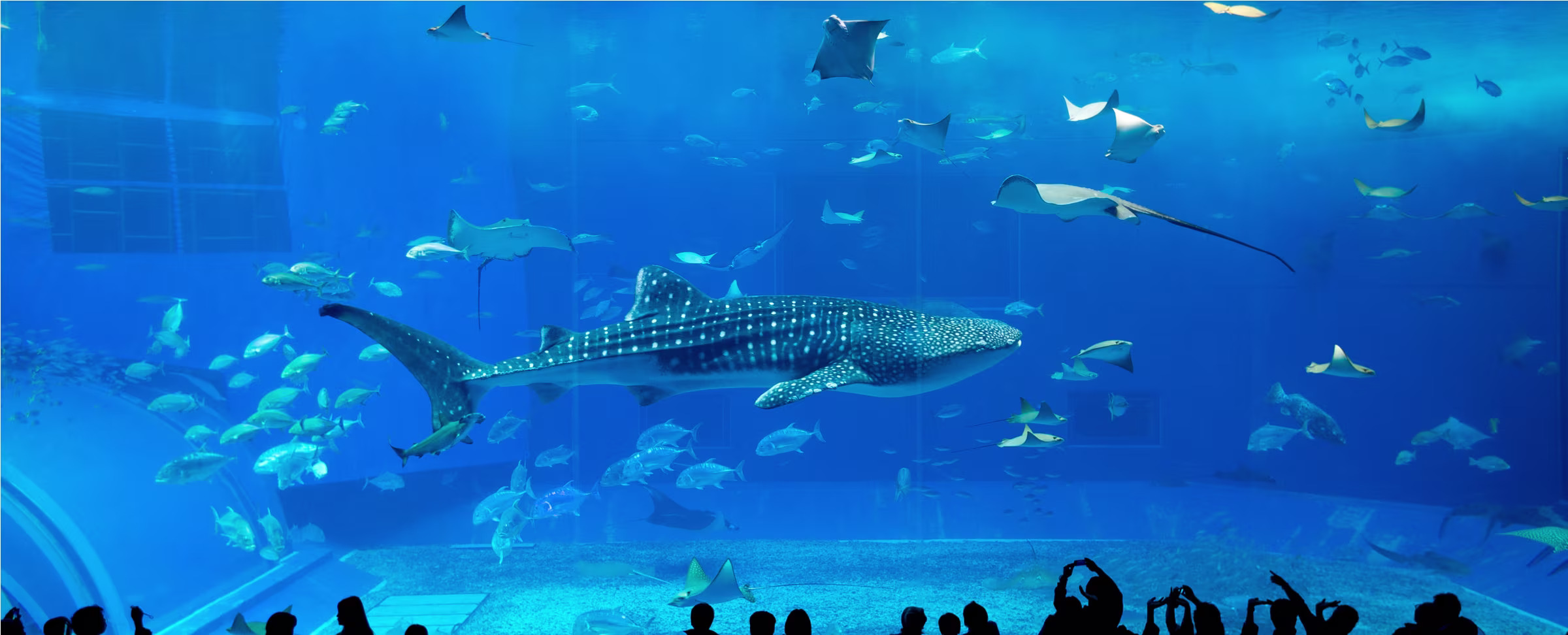 How a Shark Tank Competition Lets Students Create Their Dream Classrooms