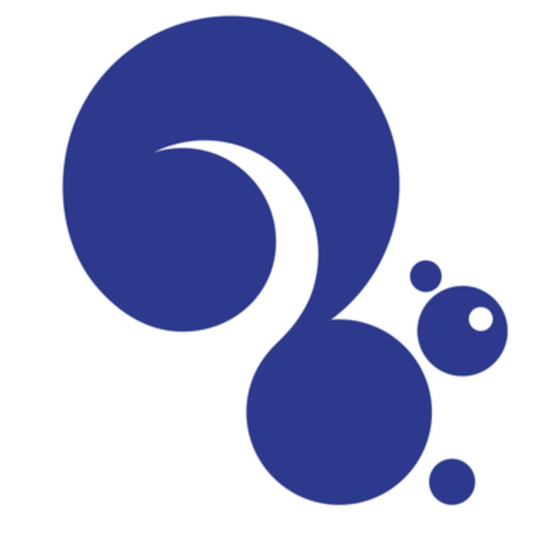 Organization: Squirrel AI Learning