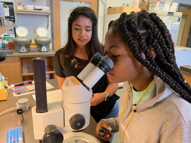 girl at microscope