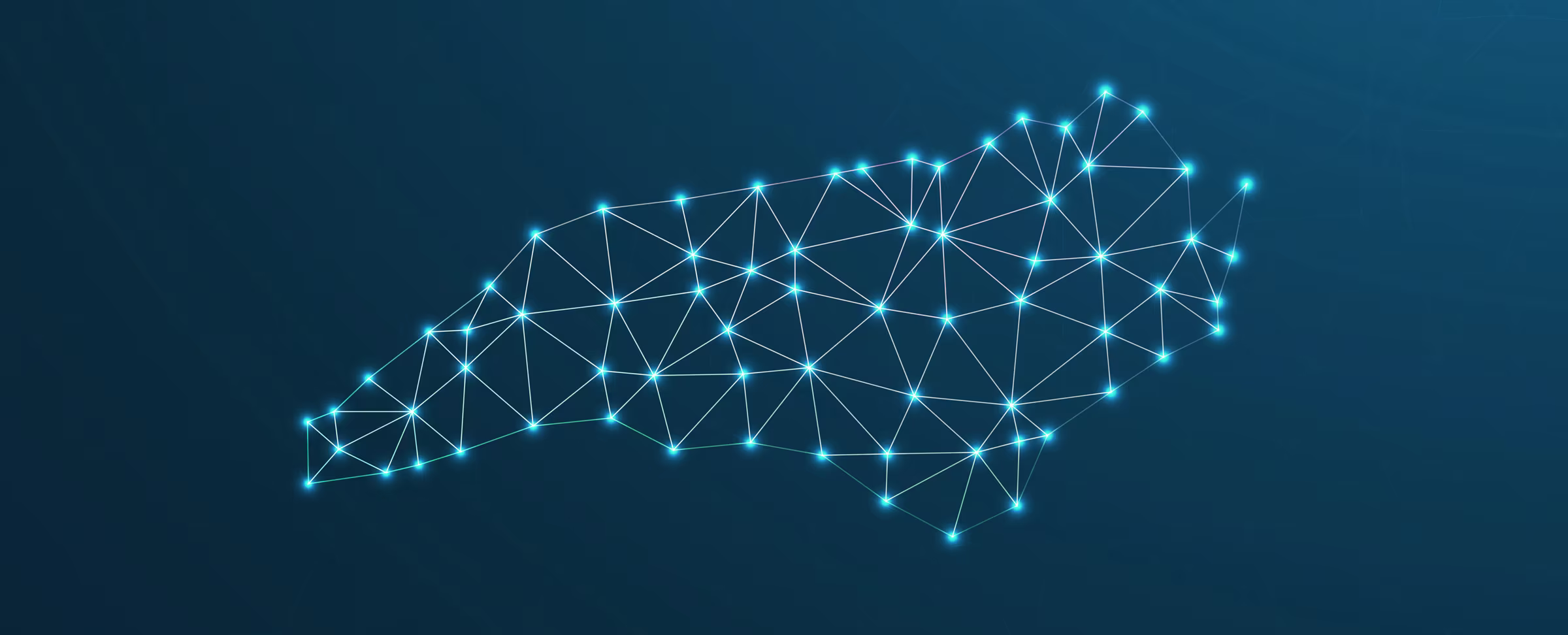North Carolina’s Digital Success Story