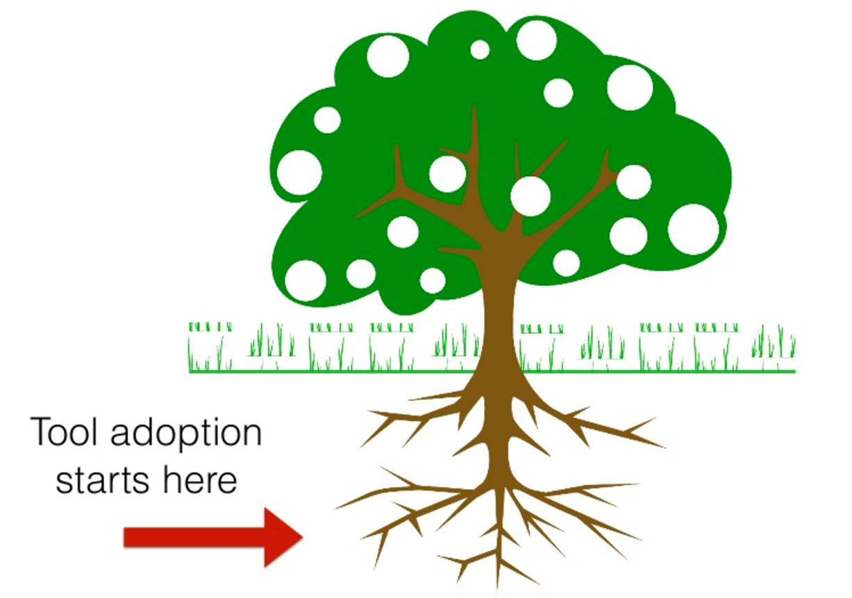 image1-1493335352.png