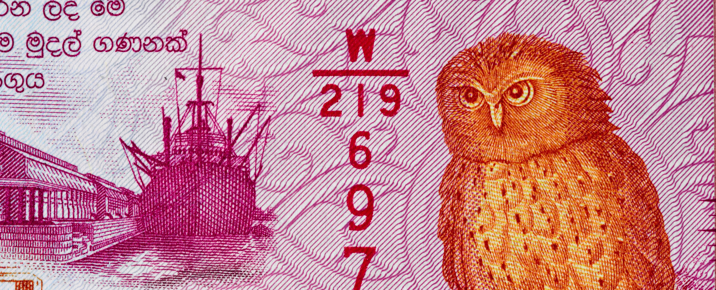 Owl Ventures’ New $185M Edtech Fund Has Global Backers—and Ambitions