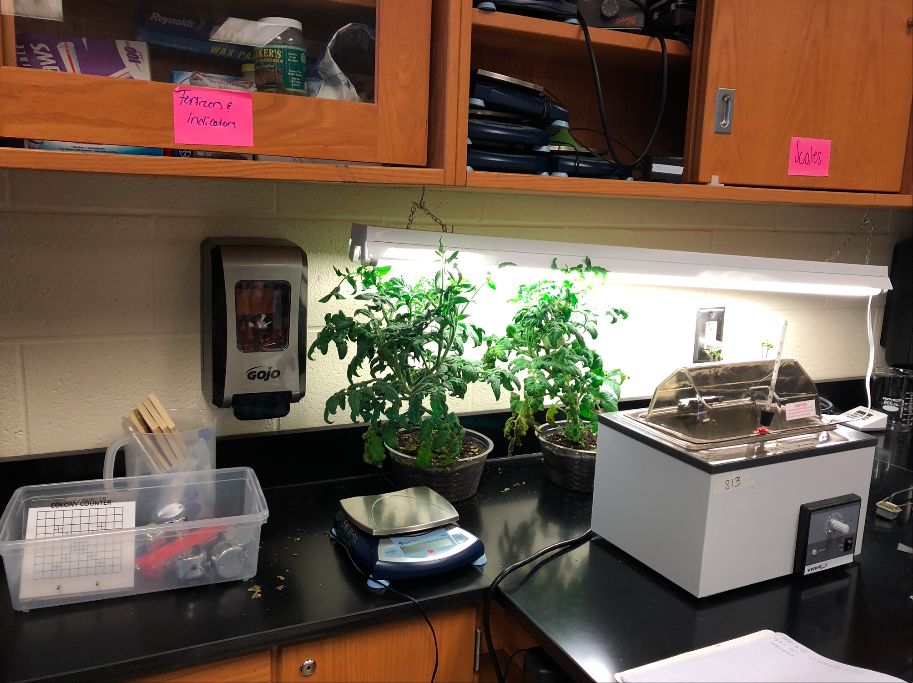 Paulding County High School Classroom