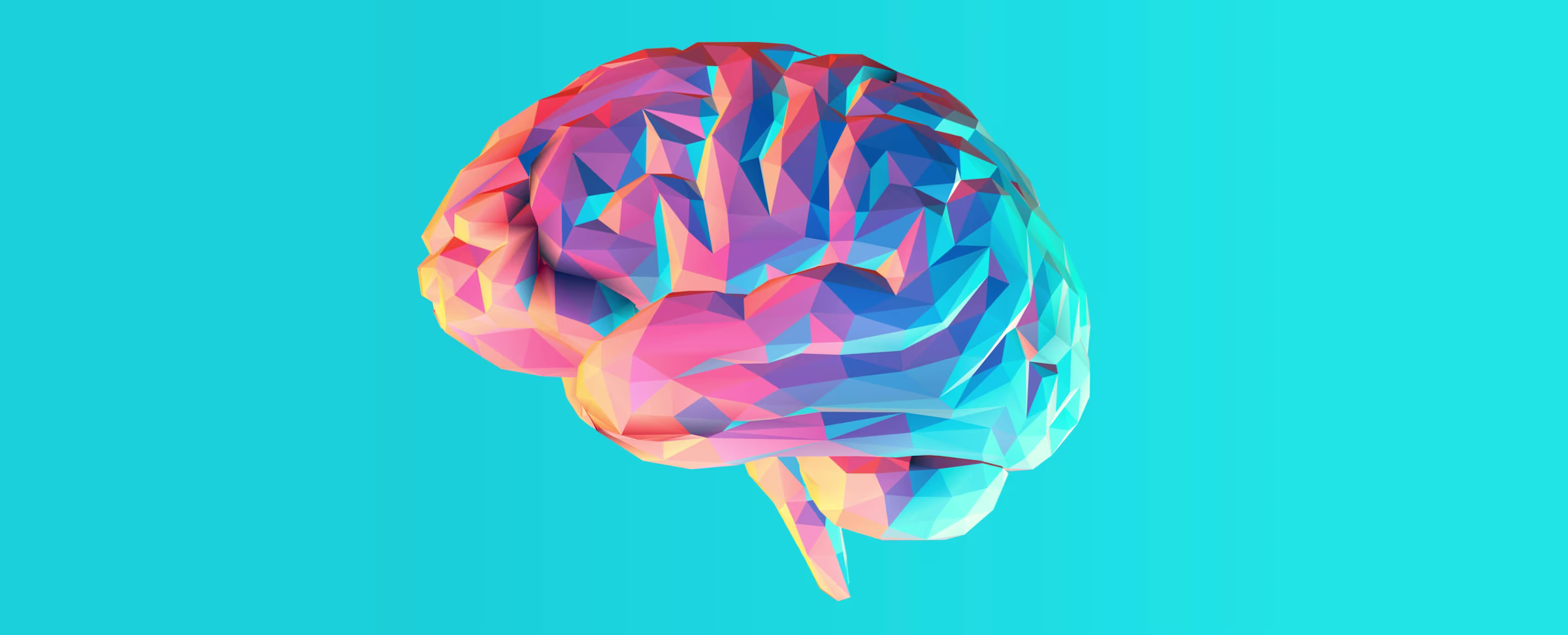 This Neuroscientist Wants to Know Your Brain On Art—and How It Improves Learning