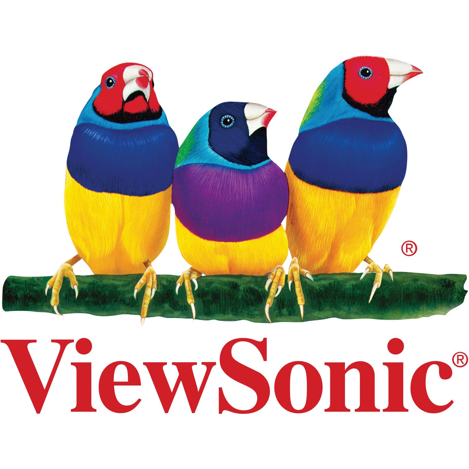 Organization: ViewSonic