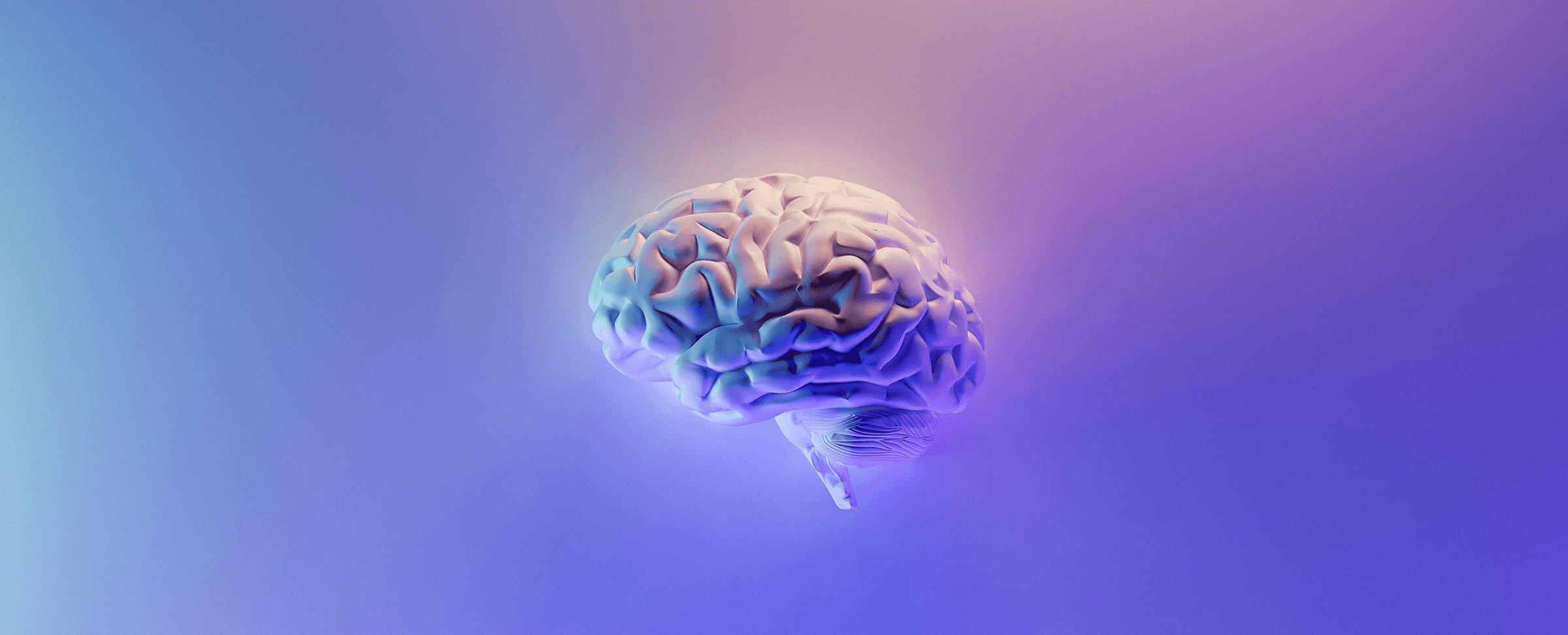 Human_brain-1678829942.png