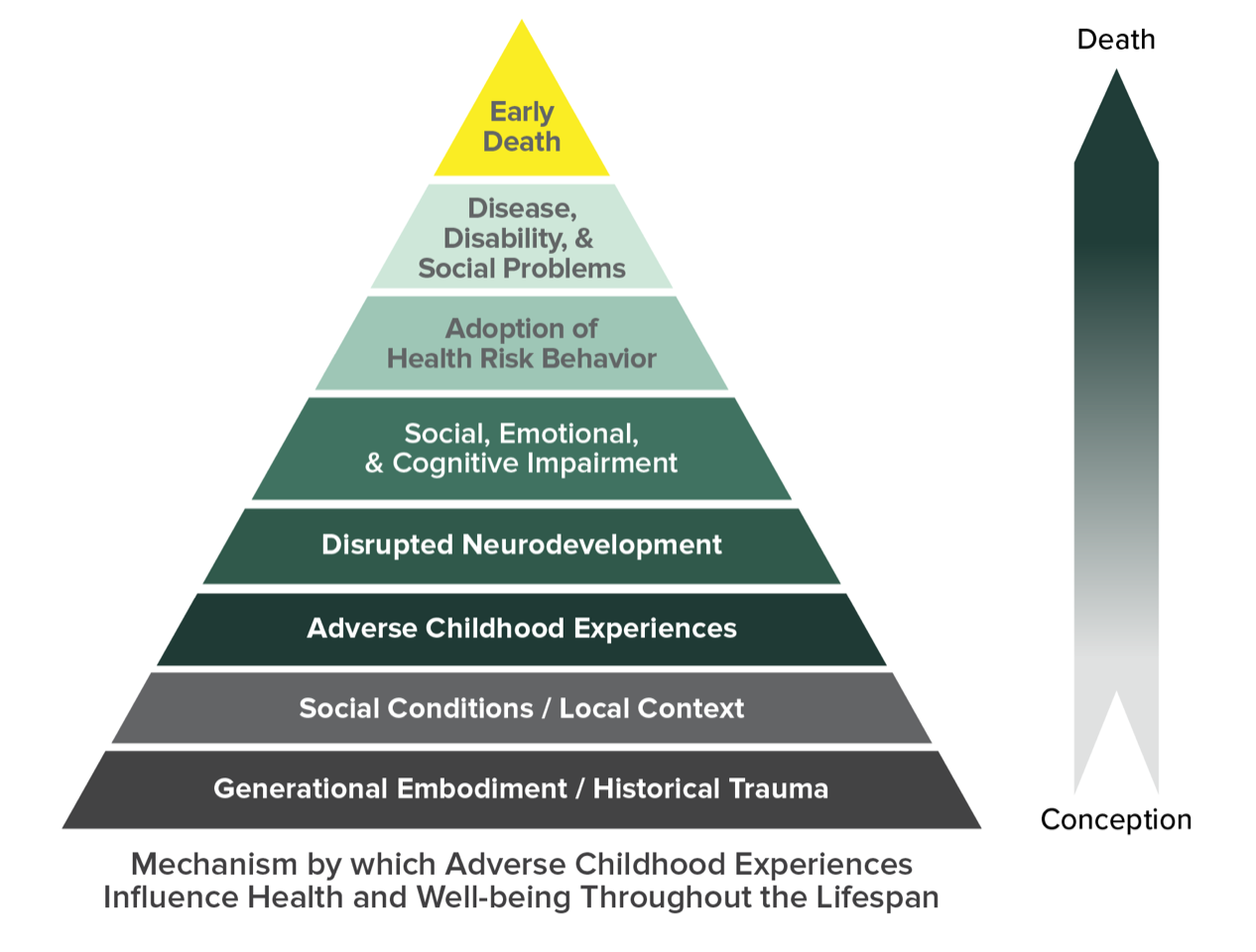 The ACEs Pyramid ( Centers for Disease Control and Prevention )
