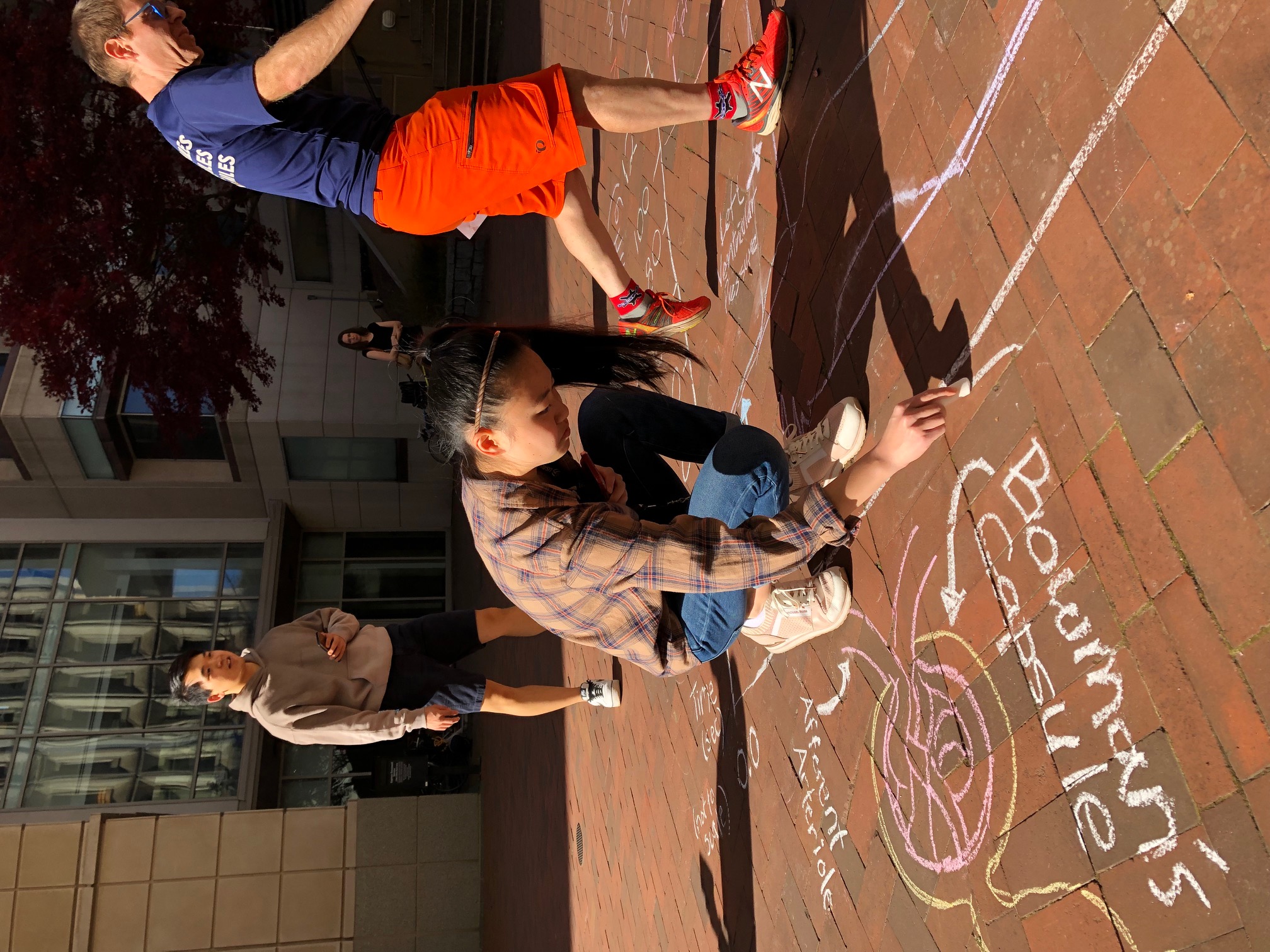 Biology students at Emory University draw with sidewalk chalk as part of professor Patrick Cafferty's "alternative office hours."