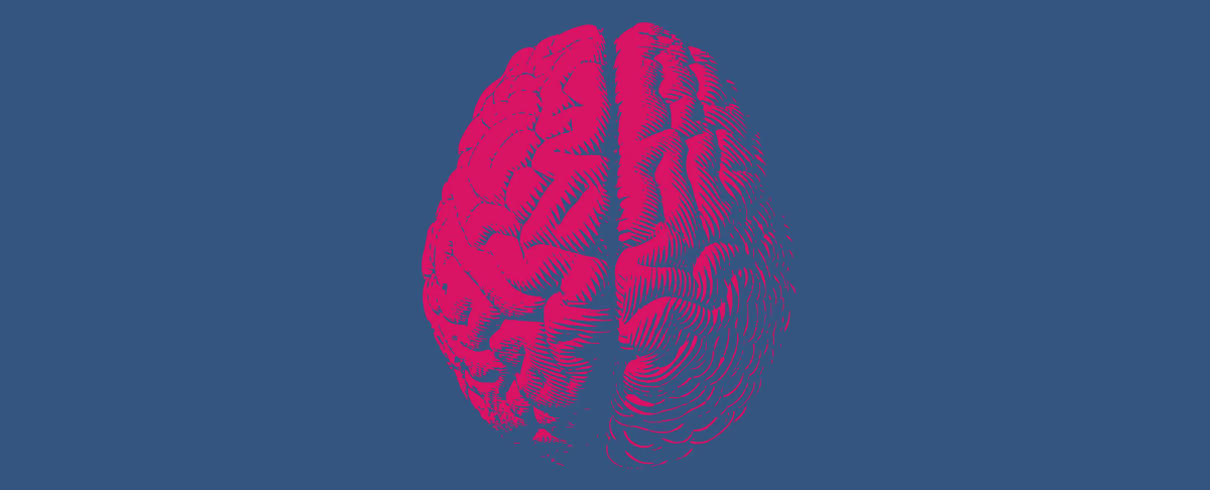 Whole Brain Teaching Is Weird — and Weirdly Viral