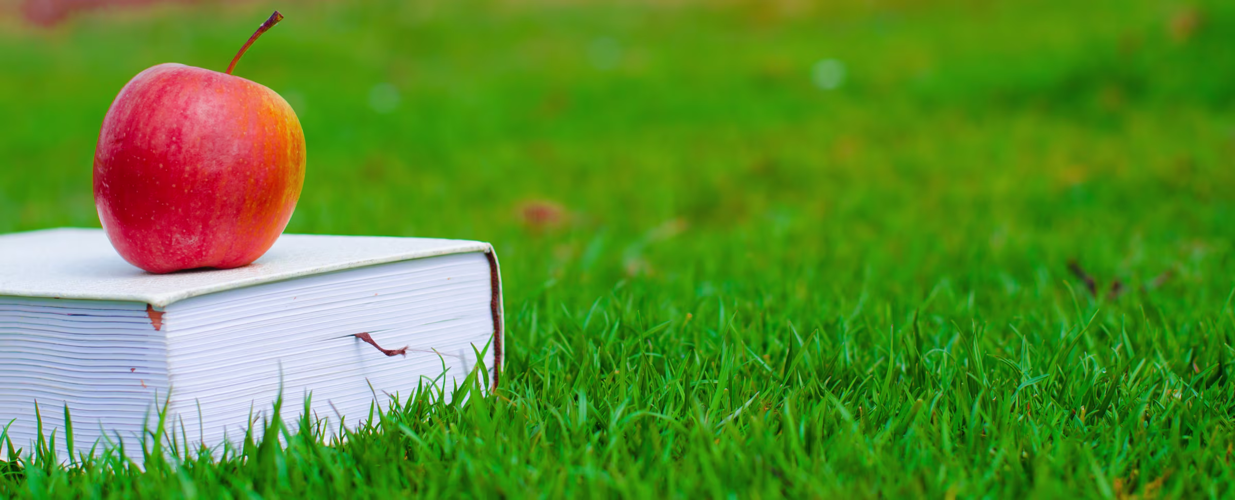 Teachable Moments: Connecting With Students In — and Out — of the Classroom