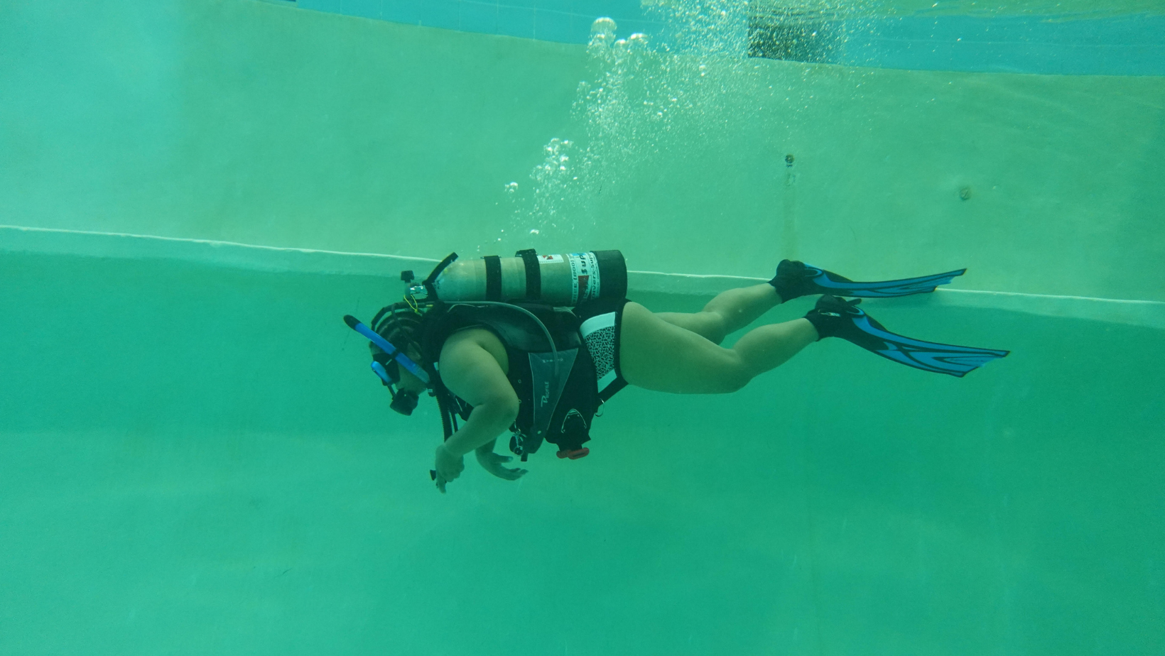 Diving-1632864924.png