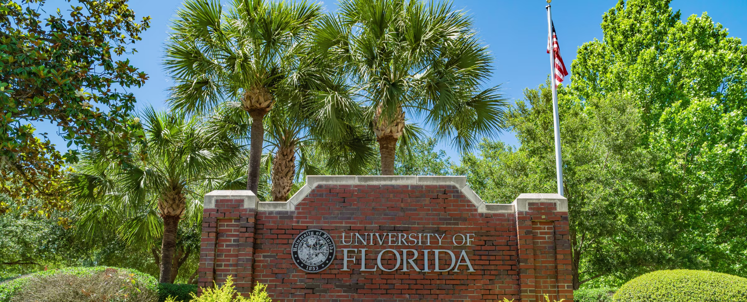 U. of Florida Alters ‘Tattle Button’ That Let Students Report Profs Who Don’t Teach In Person