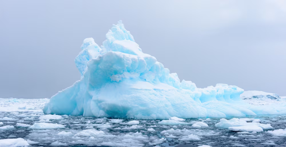 Personal Statements 2016: Icebergs and Other (Movie) Villains of My Education