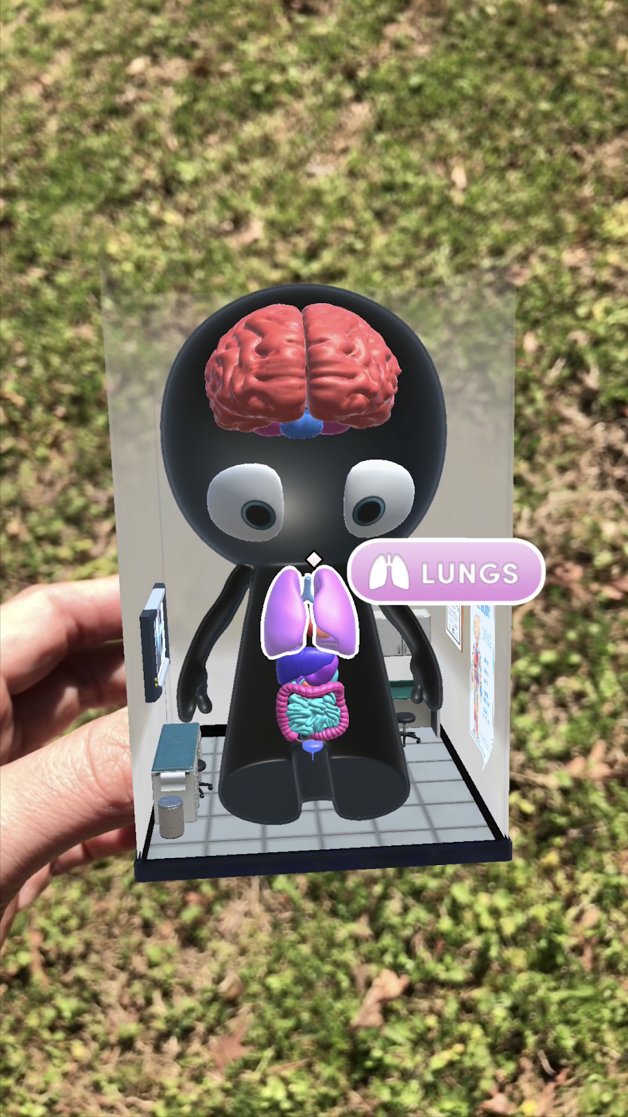 Mr. Body