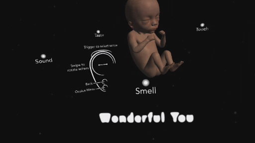oculus-1546636945.jpg