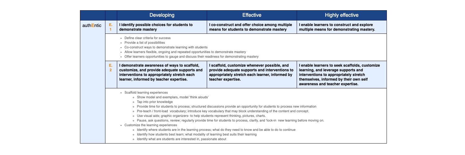 Part of the Futures EMPOWER rubric, designed to get teachers thinking in terms of research based strategies. (Image: Futures)