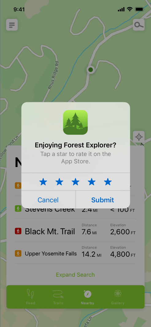 iOS in-app review example