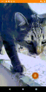 cryptographic key gif cat fingerprint authentication android app