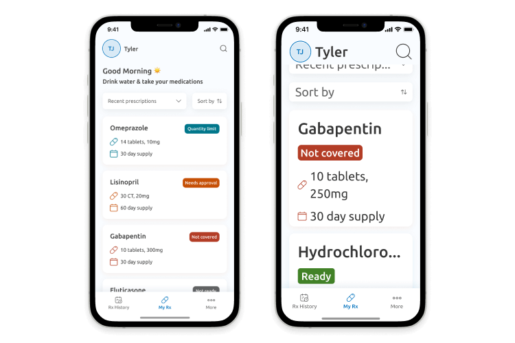 font scaling and accessibility features in the Magellan Rx app
