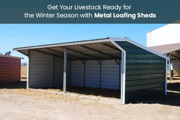 get-your-livestock-ready-for-the-winter-season-with-metal-loafing-sheds