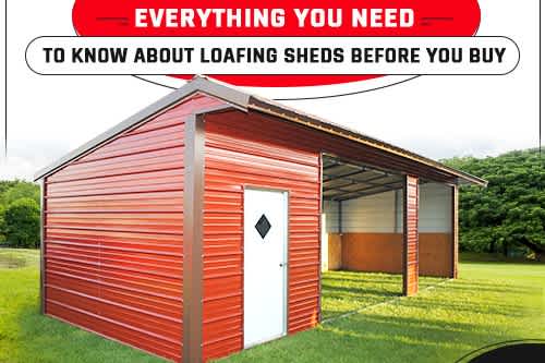 Everything You Need to Know About Loafing Sheds Before You Buy