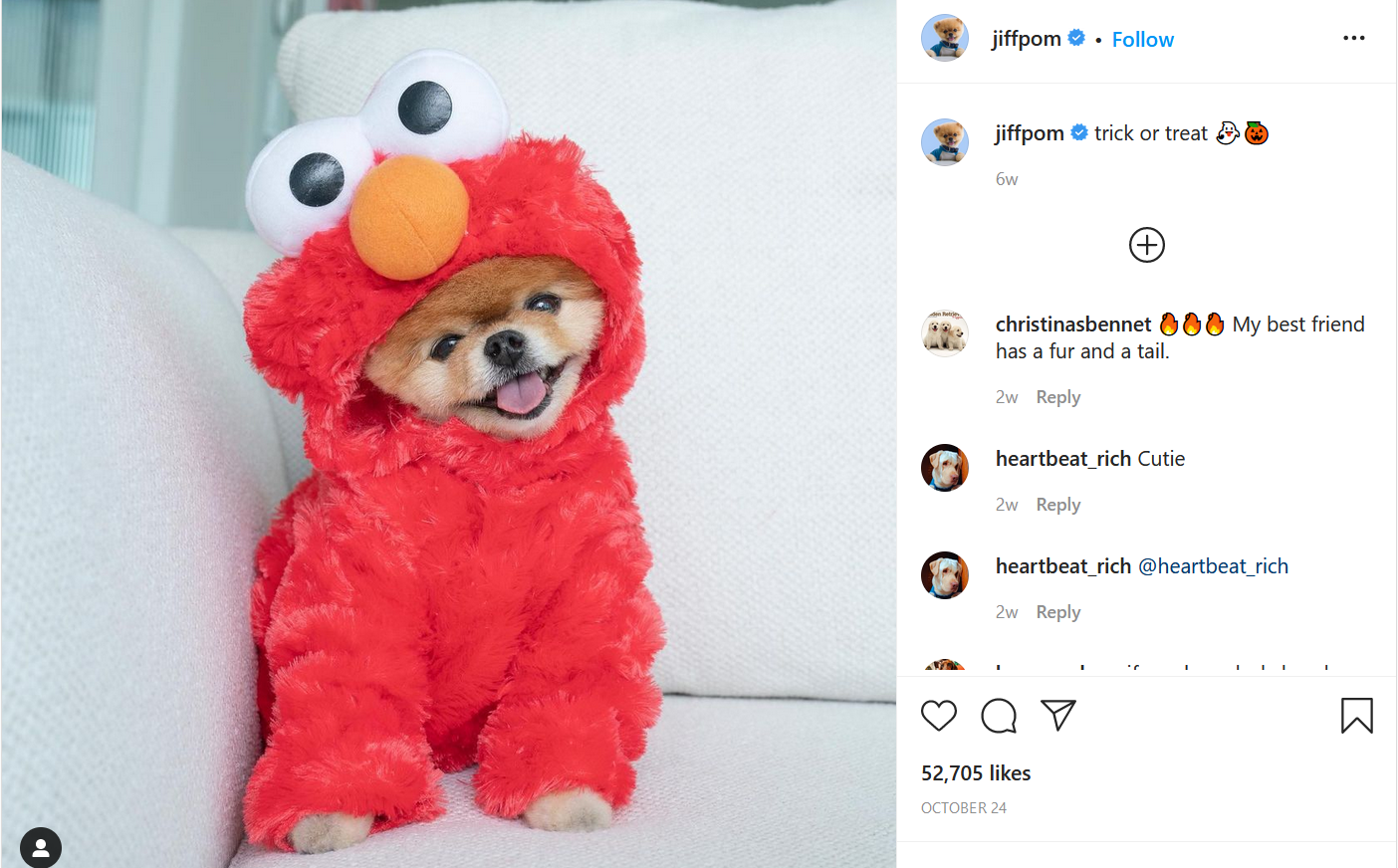 Instagram pet-influencers