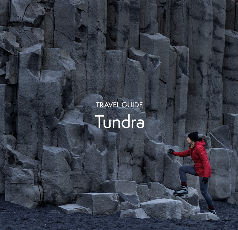 Tundra Holiday