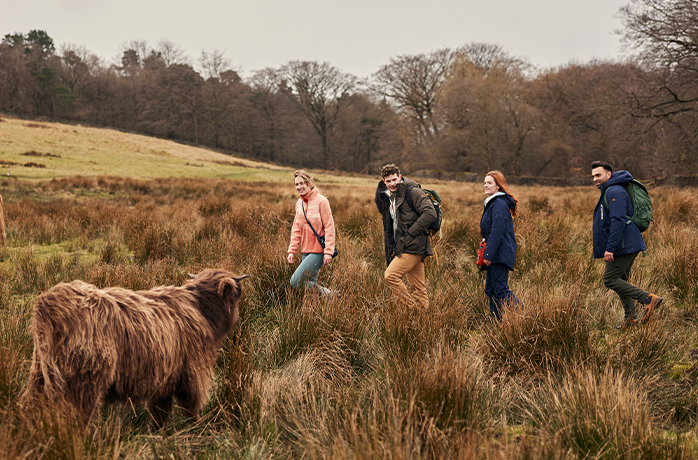 Escape into autumn walks