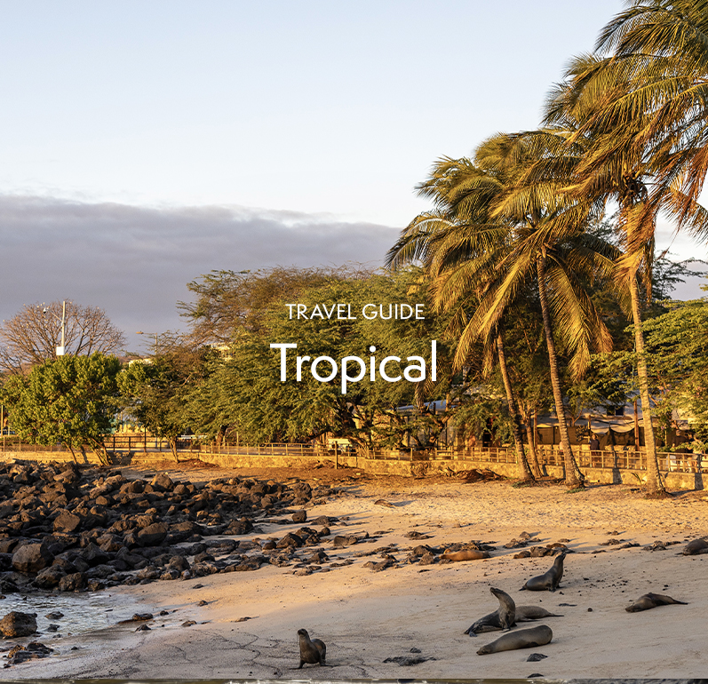 Tropical Travel Guide
